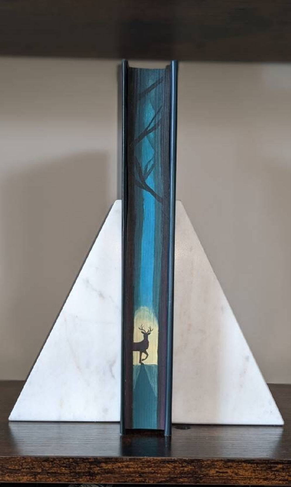 The Assassin's Blade by Sarah J Maas peggyspages Fore-edge painting