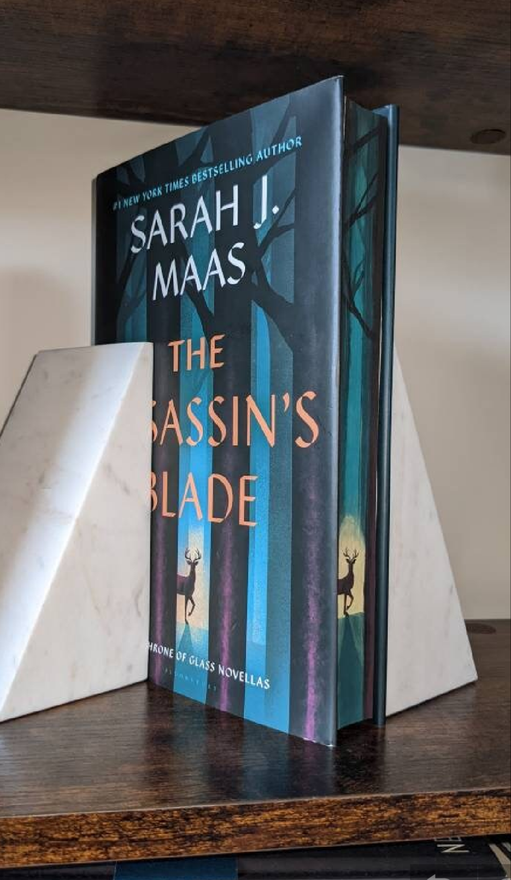 The Assassin's Blade by Sarah J Maas peggyspages Fore-edge painting