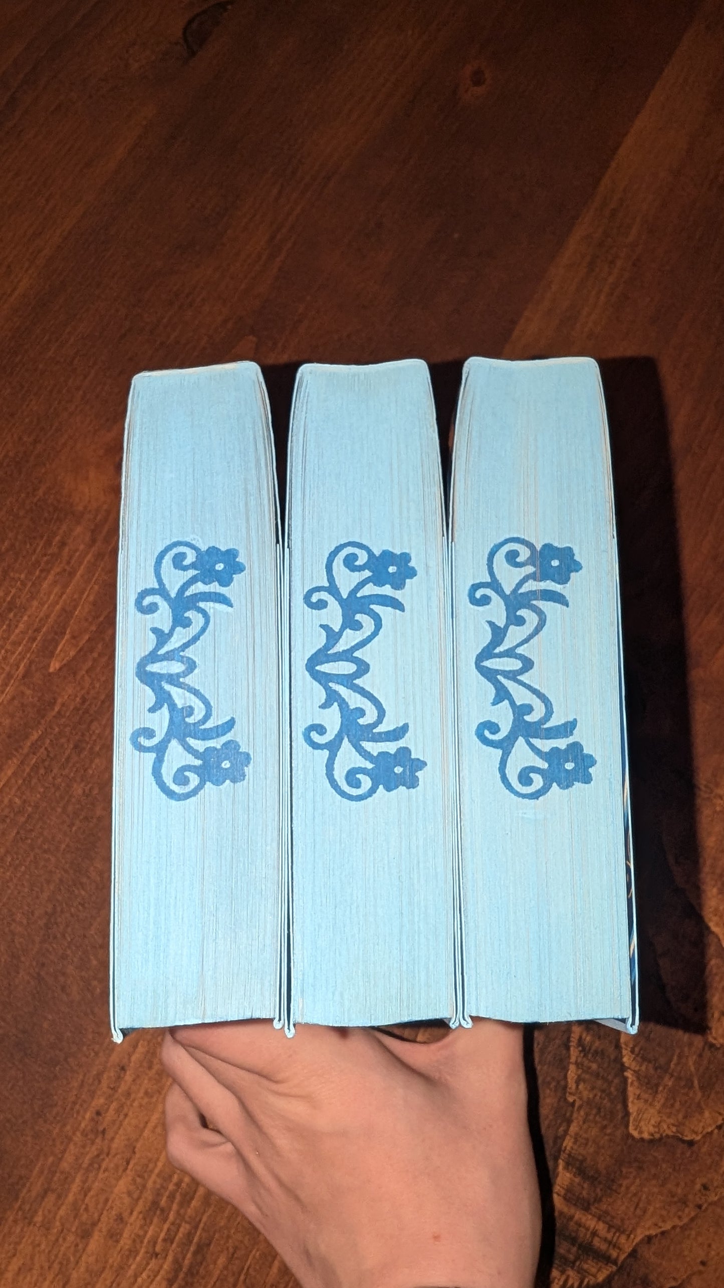 (Used) Waterstones exclusive Once Upon a Broken Heart by Stephanie Garber PeggysPages fore-edge painting