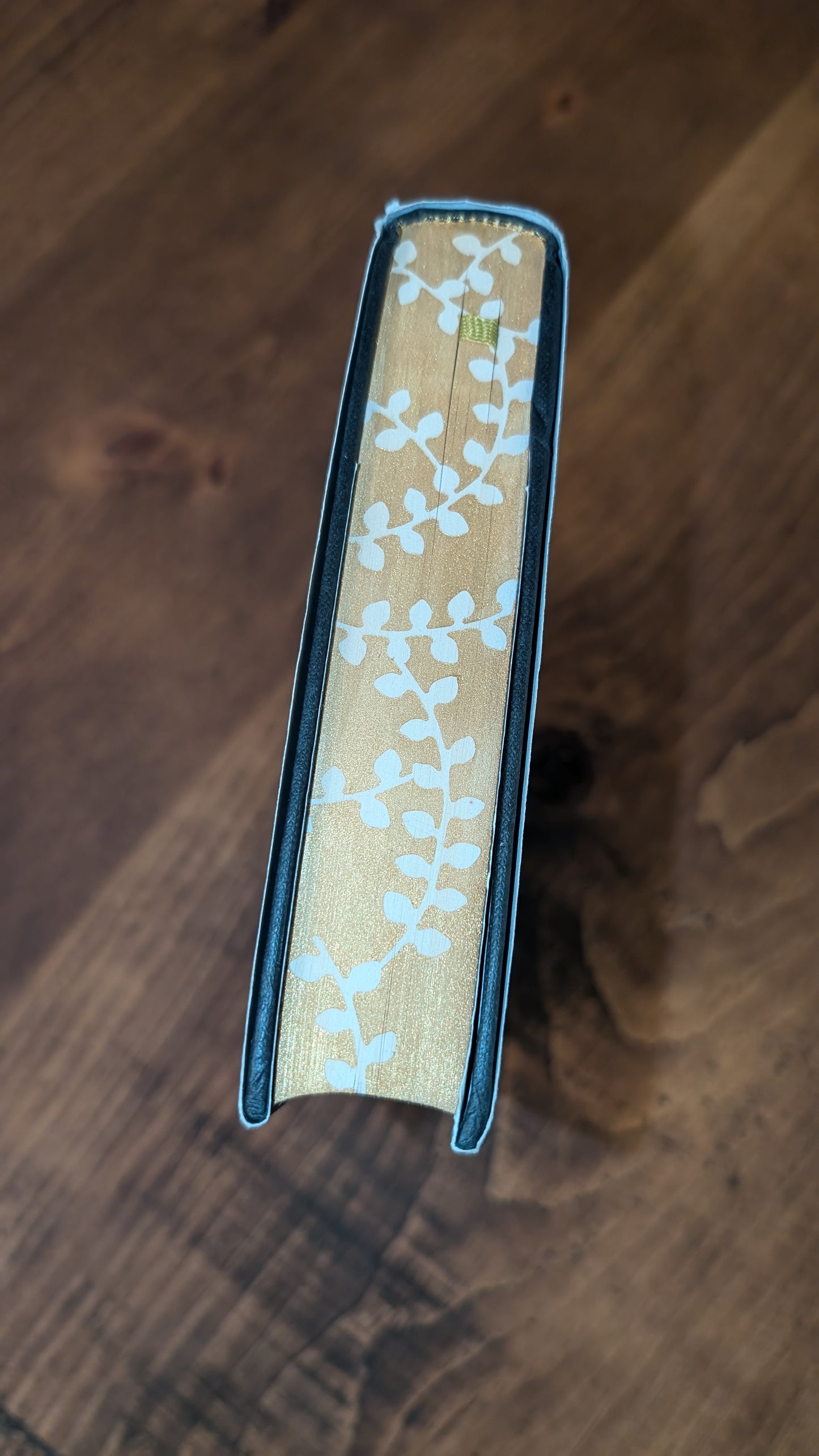 1st edition The Song of Achilles by Madeline Miller PeggysPages fore-edge paintings