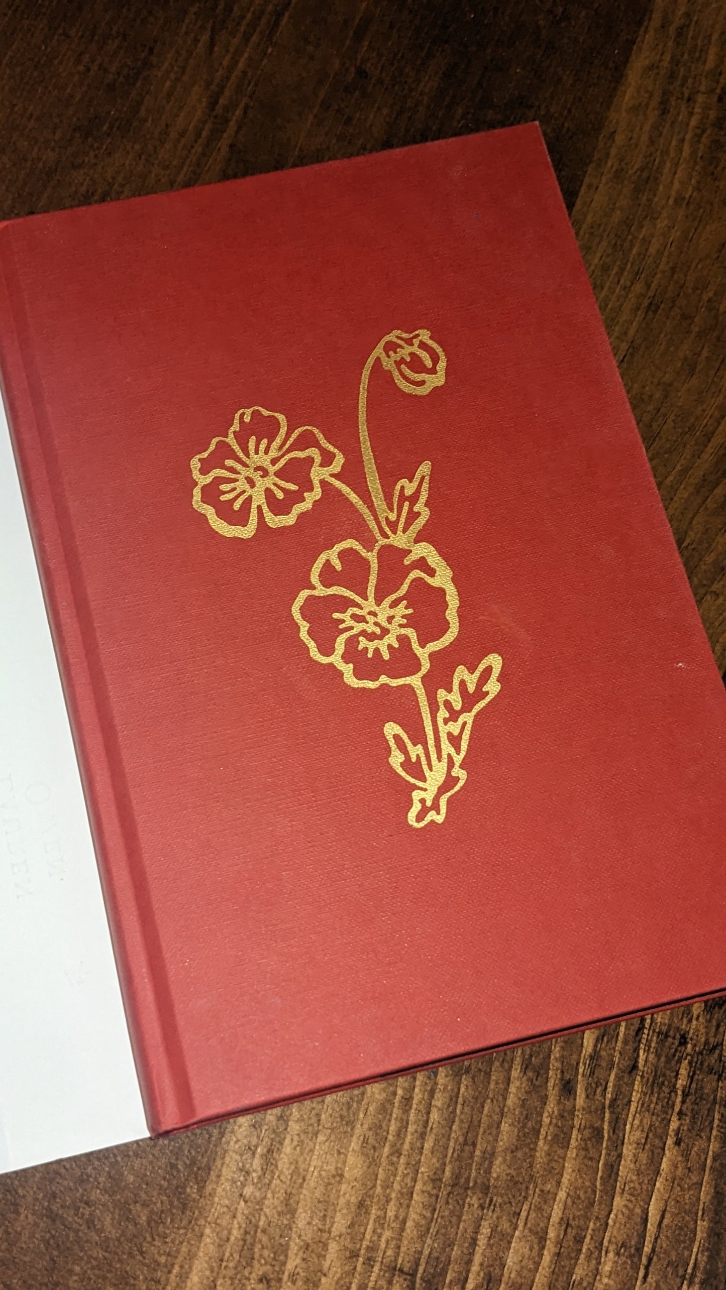 Small angels by Lauren Owen Fore-edge painting special edition