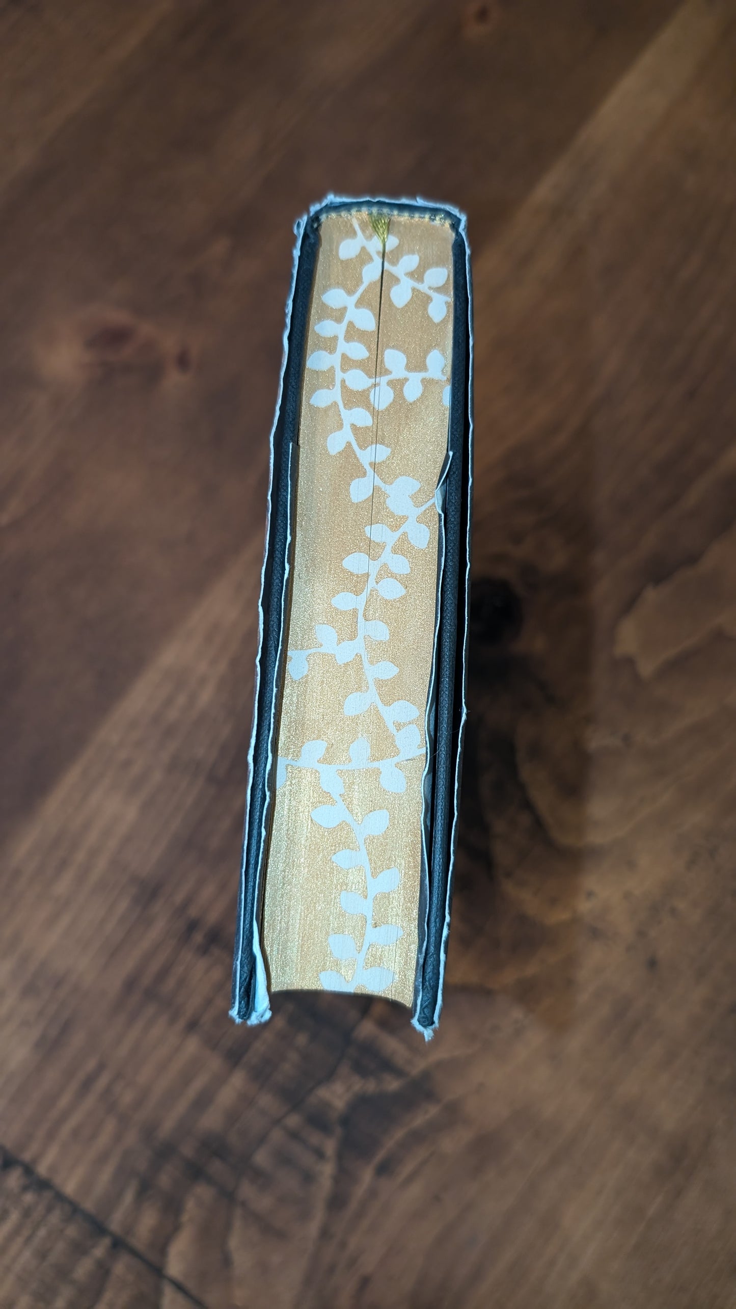 1st edition The Song of Achilles by Madeline Miller PeggysPages fore-edge paintings