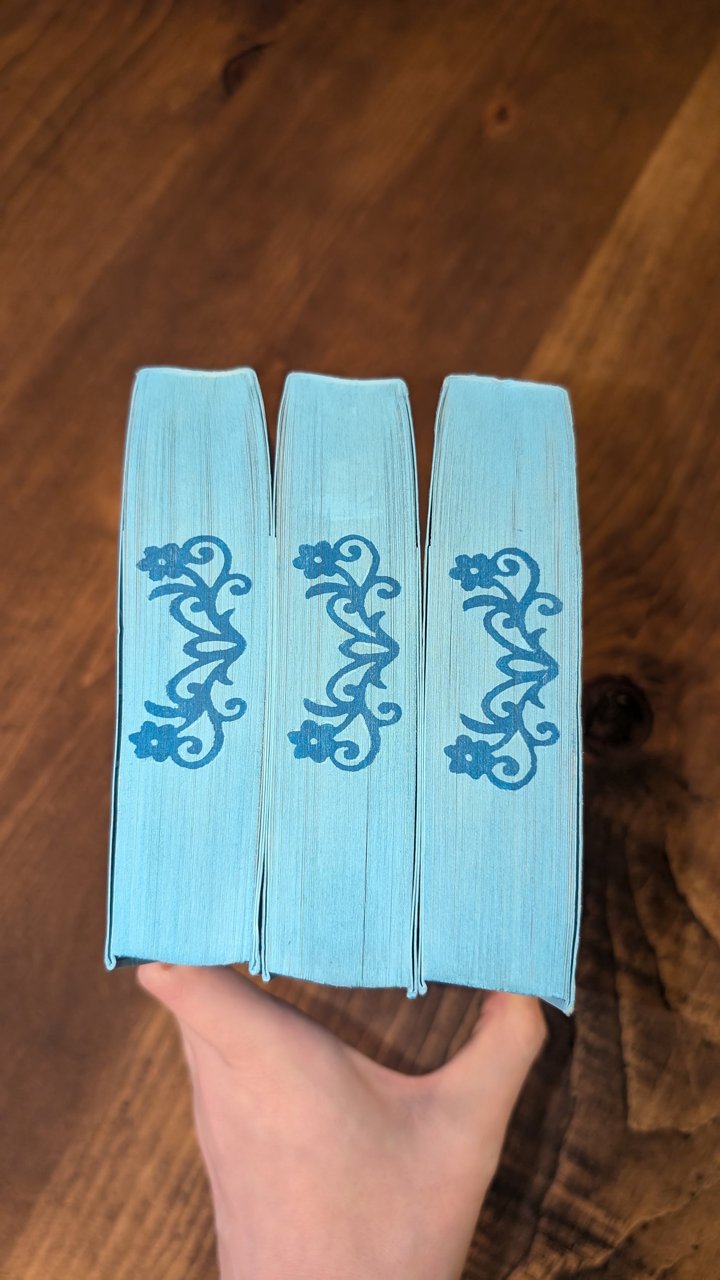 (Used) Waterstones exclusive Once Upon a Broken Heart by Stephanie Garber PeggysPages fore-edge painting