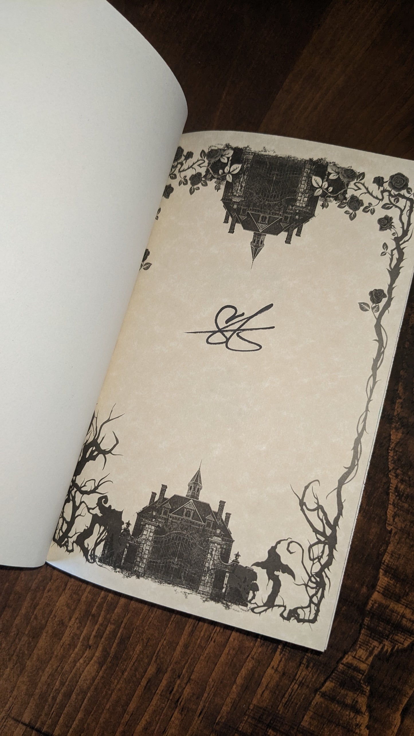 Signed Gallant by V E Schwab PeggysPages fore-edge painting sprayed edges special editions